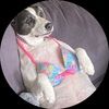 amyrahmercer
